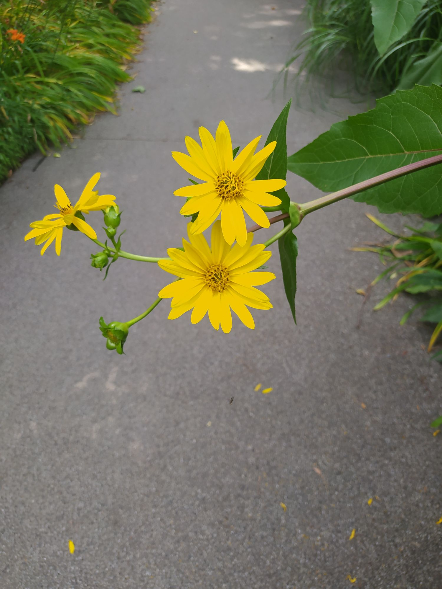 Achievements of the weekend