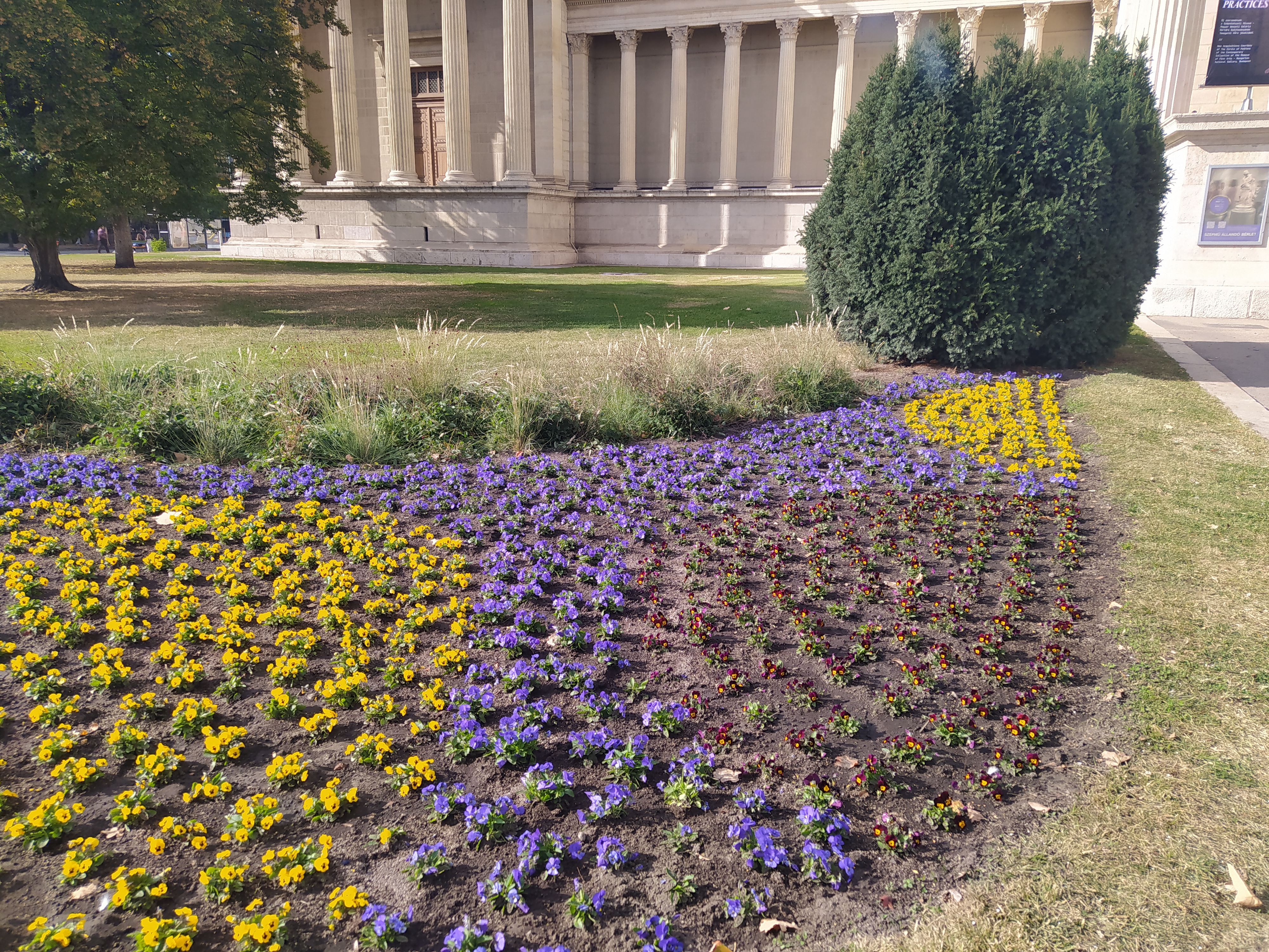 Love, desire, romance