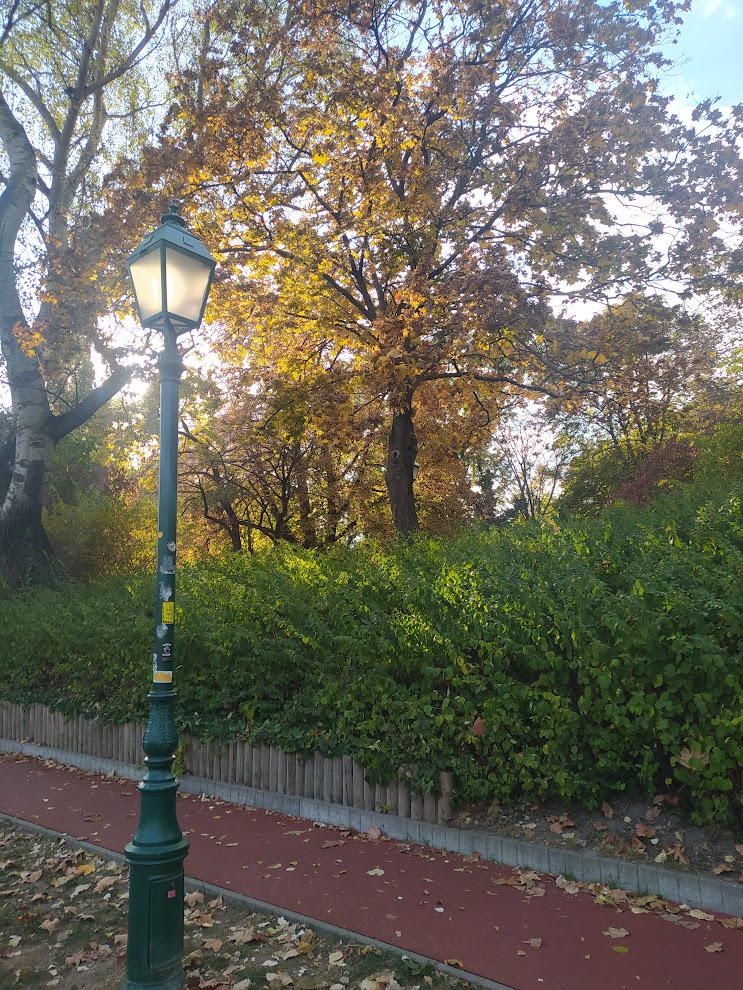 My friend wants to be a soldier