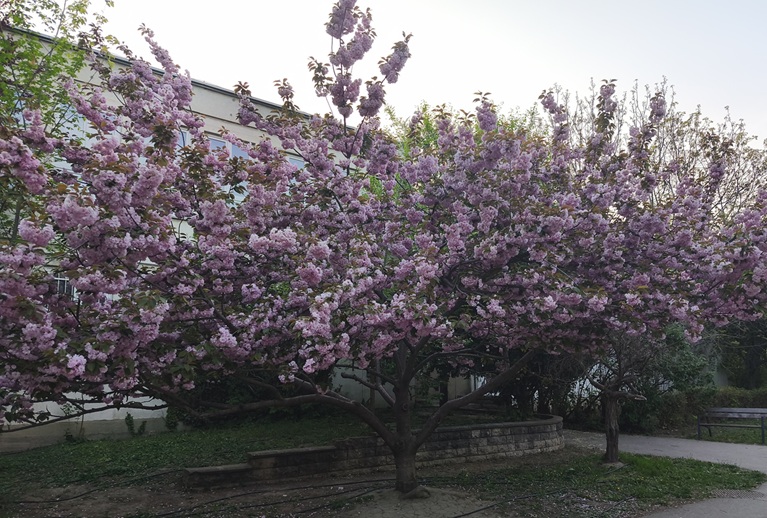 What I’m learning lately